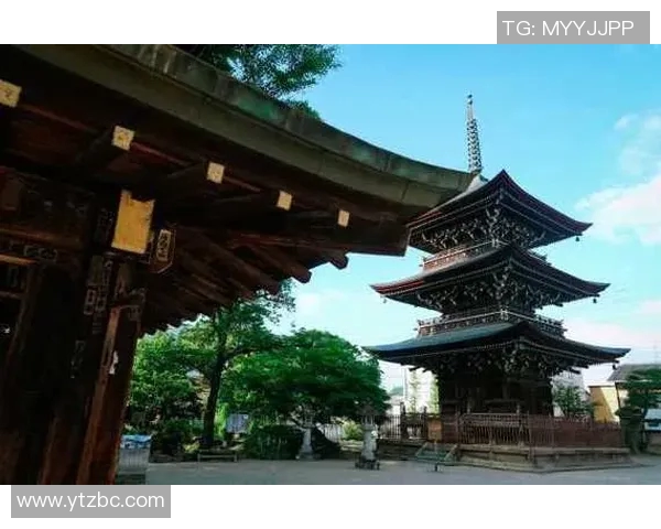 赞岐阜玉与京都的精彩对决揭示了日本足球的魅力与竞争力