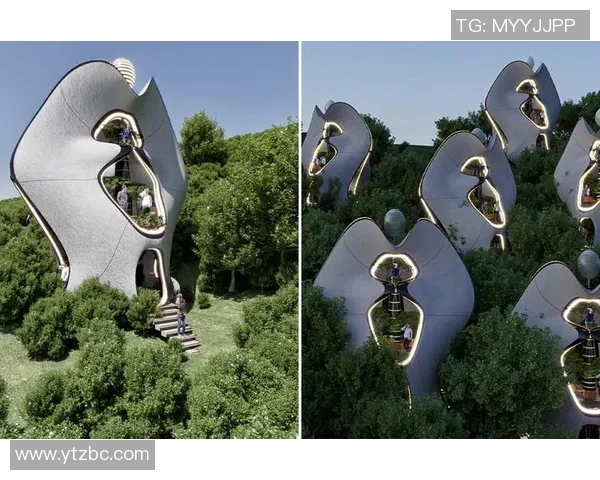 探索奥蓬达的魅力与潜力揭示未来发展的无限可能性