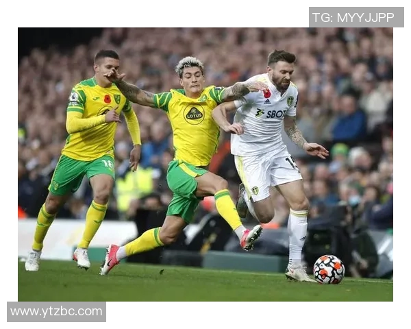 诺维奇主场迎战斯蒂文尼奇期待精彩对决与精彩进球